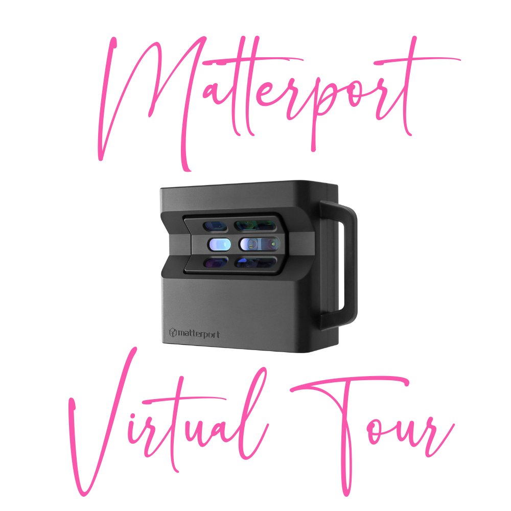 cozy living room with pink sofa and a little dog