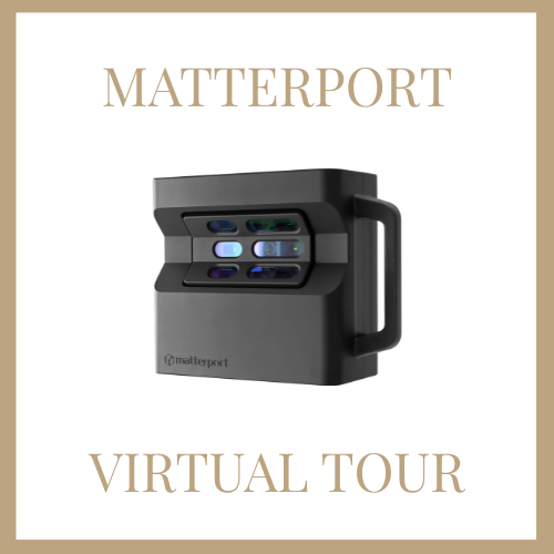 cozy living room with pink sofa and a little dog