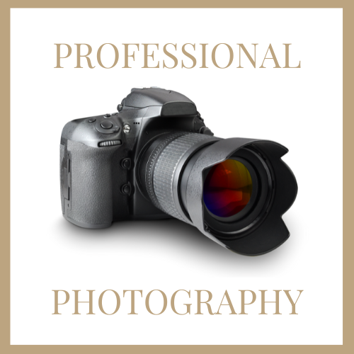 cozy living room with pink sofa and a little dog