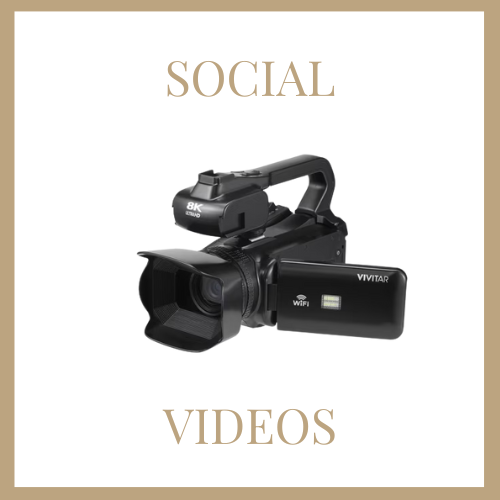 cozy living room with pink sofa and a little dog